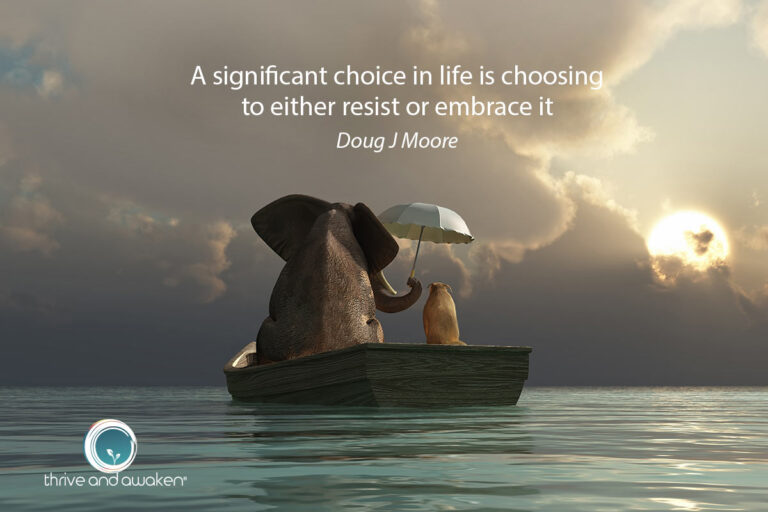 An elephant holding an umbrella over a cat in a boat with quote from Doug: A significant choice in life is choosing to either resist or embrace it